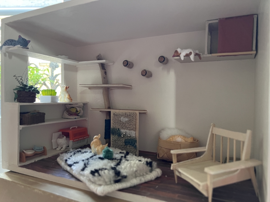 Aménagement de l'environnement du chat